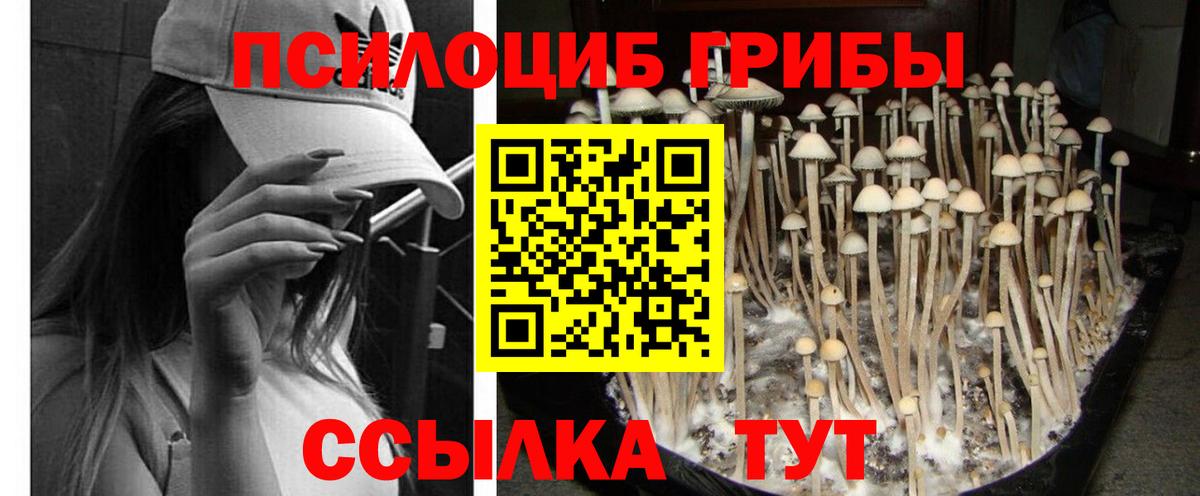 Псилоцибиновые грибы MAGIC MUSHROOMS Чайковский